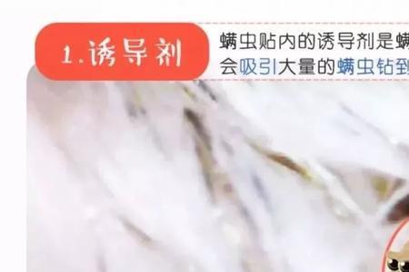 除螨能驱蟑螂吗