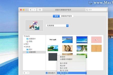 ios16壁纸搜索怎么关闭