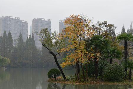 秋雨蒙蒙什么意思