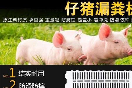 猪用水泥保温床如何做