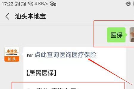 怎么可以查到新生儿医保金额