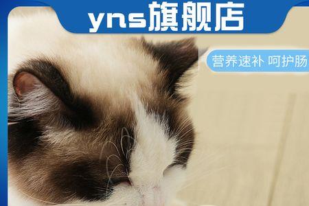 羊奶布丁对猫好吗