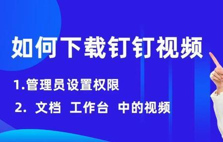 顶钉视频怎样设置禁止下载