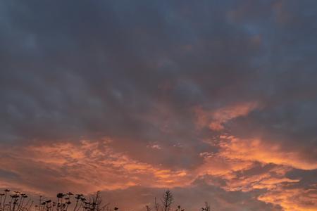 夕阳醉晚霞彩云笑黄昏什么意思