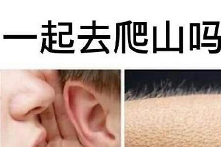 大晚上爬山是什么梗