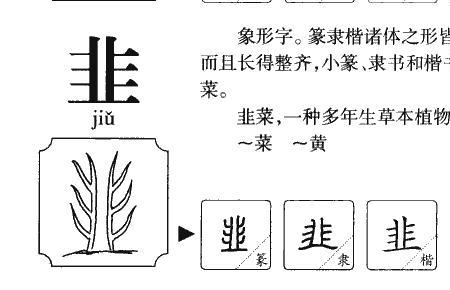 三点水加韭念什么意思