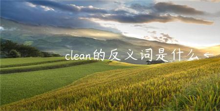 clean的反义词