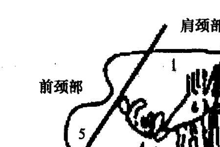 猪肉分号什么意思