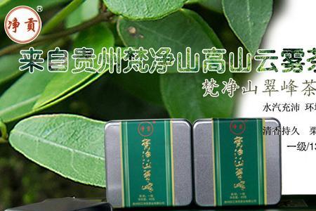 山语是什么茶