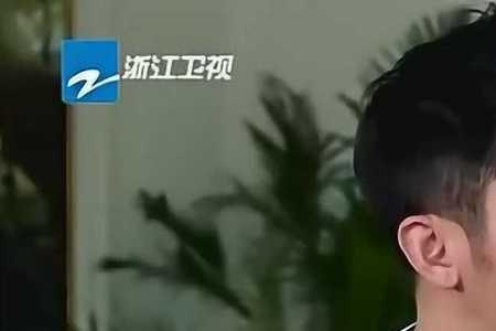 陈赫要李晨抱抱是哪期