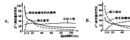 3H表示的意义