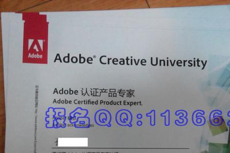 adobe的专家证书有用没