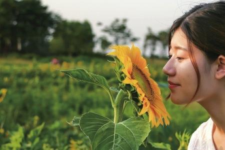 杨葵花是谁扮演的