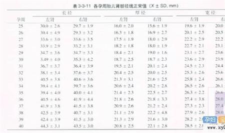 孕14周头围标准表