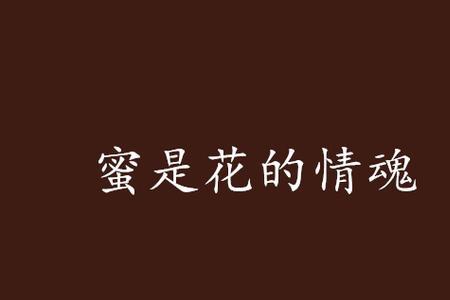 蜜情什么意思