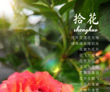 花开花落总无情是什么意思