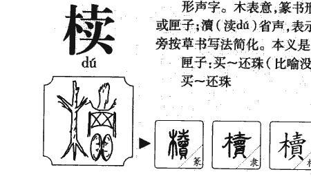 案字结构是什么