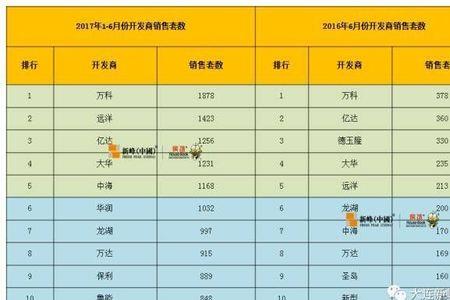 开发商top10什么意思