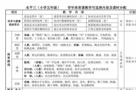 小学生有氧耐力教学计划