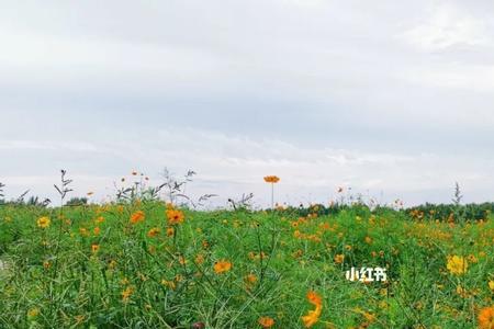 西安南山花海在什么地方