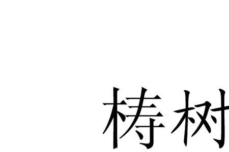 与树的读音相同的字