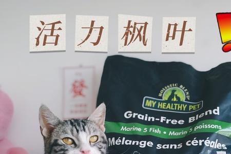 猫有爱的猫粮怎么样