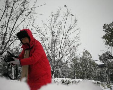 雪中情女主角