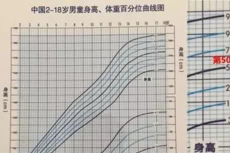 山西女孩平均身高