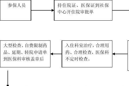 新生儿医保缴费流程图