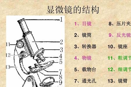 显微镜的通光孔的作用是什么