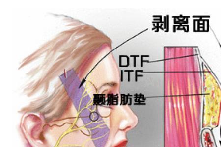 颈膜能用在脸上用吗