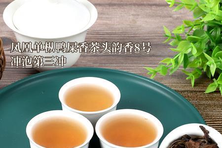 凤凰茶亩产多少斤