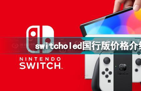 switcholed商店进不去