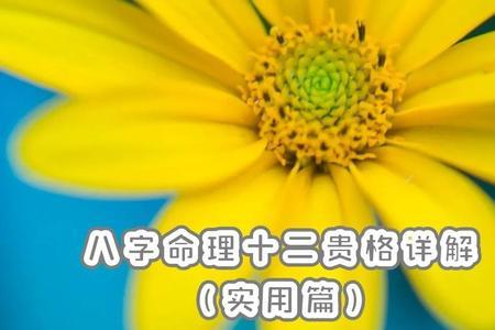 八字什么叫做主格