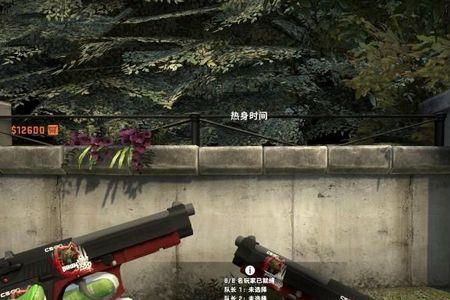 csgo双枪贴印花贴几个