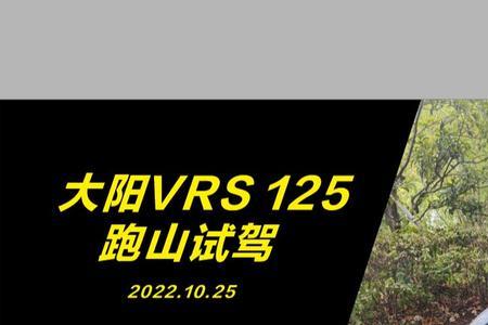 大阳vrs125轮胎是什么牌子的