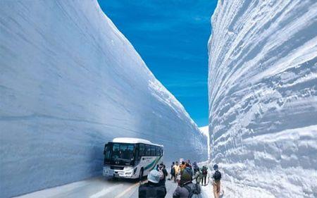 什么样的积雪