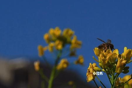 春天闻到什么味道