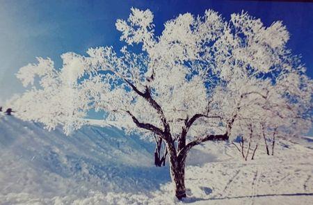 为什么燕山大雪