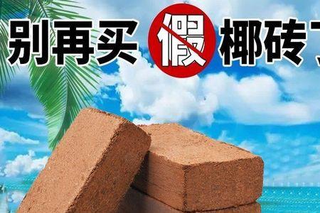 椰砖泡开后有种刺鼻的气味