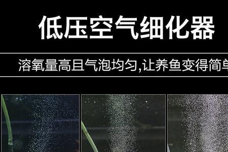 鱼缸增氧气泡石正确安装