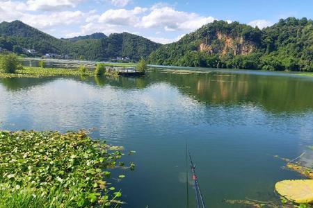 富阳大洋坞水库能钓鱼吗