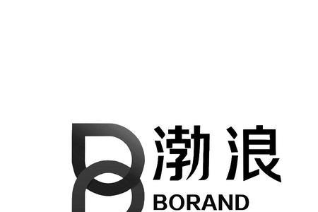 bor是什么车