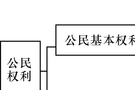 政治权利主体包括