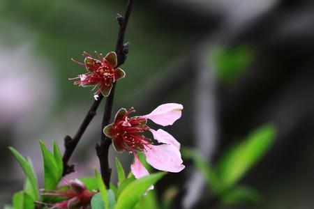 绝处逢生柳暗花明全诗