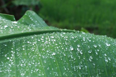 秋雨润心赏云烟春风拂面观朝夕