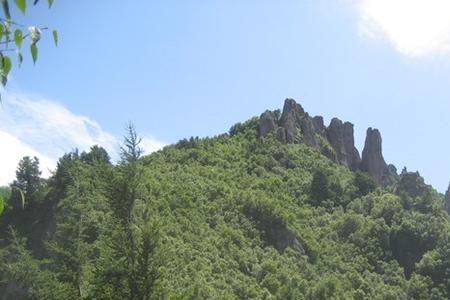 松树岭风景区要门票吗