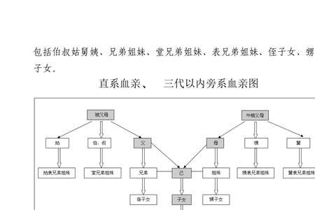 堂舅是属于三代血亲关系么