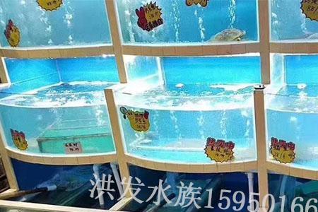 养海鲜的鱼缸用什么消毒药好