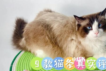 花太吉猫条怎么样